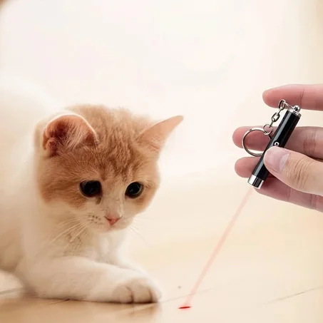 Cat Laser Pointer Toy – Interactive Training for Indoor Cats