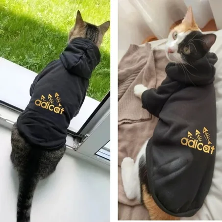 Autumn/Winter Cat Hoodie – Letter Print Pullover for Kittens