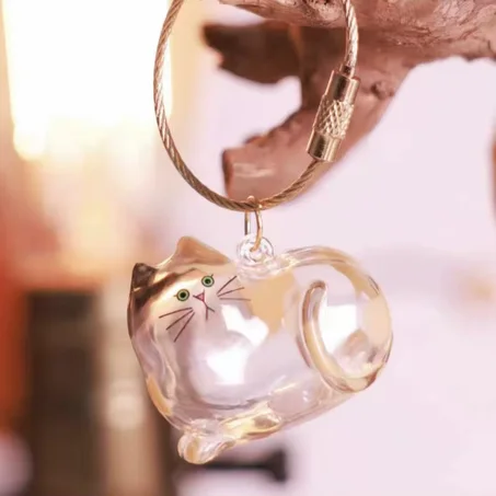 Transparent Pet Hair Storage Box – Keepsake Container for Cat Fur