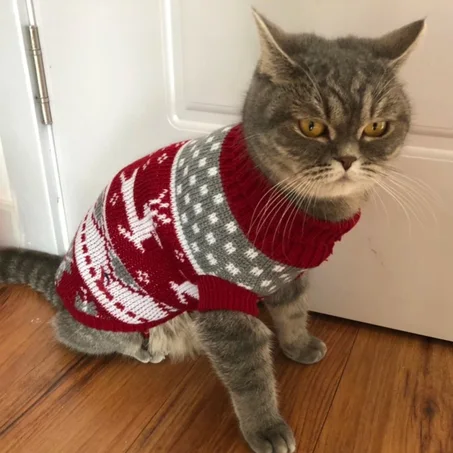 Cute Winter Cat Sweater – Warm Knit Pullover Pet Clothes for Cats, Kittens & Sphynx