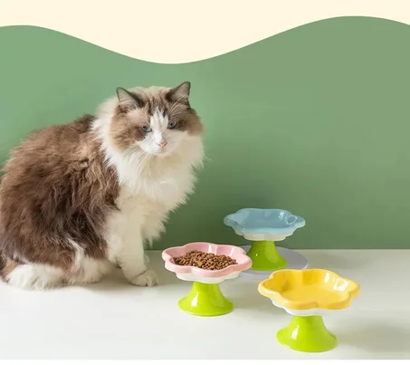 Ceramic Elevated Cat Bowl with Flower Design – Raised Food & Water Dish with Stand for Neck Protection