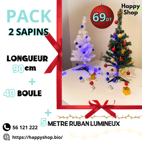 Pack 2 sapin noel 90 cm