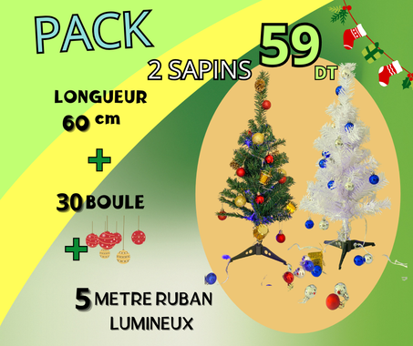 Pack 2 sapin noel 60 cm