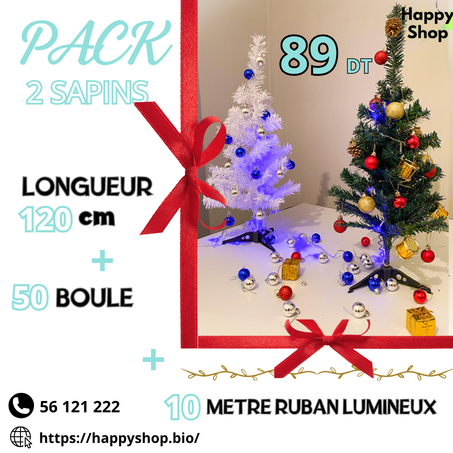 Pack 2 sapin noel 120 cm