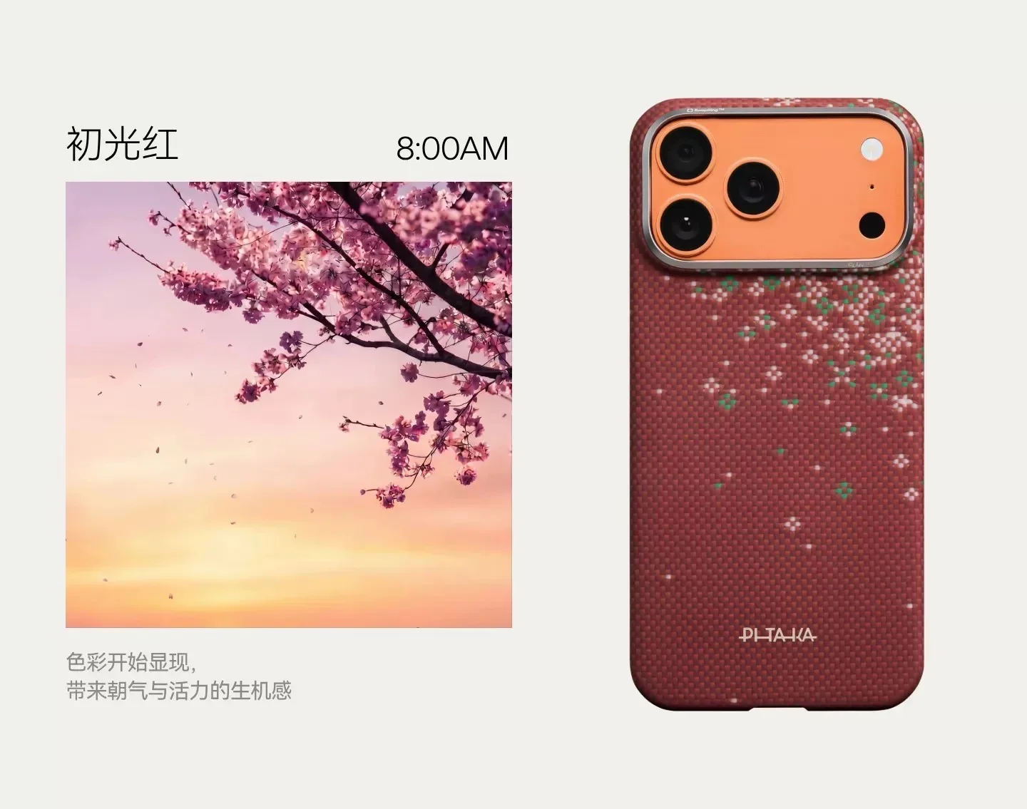 PITAKA Carbon Fiber Cover for iPhons Automne