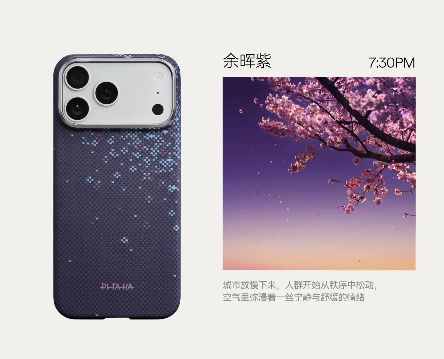 PITAKA Carbon Fiber Cover for iPhons Automne