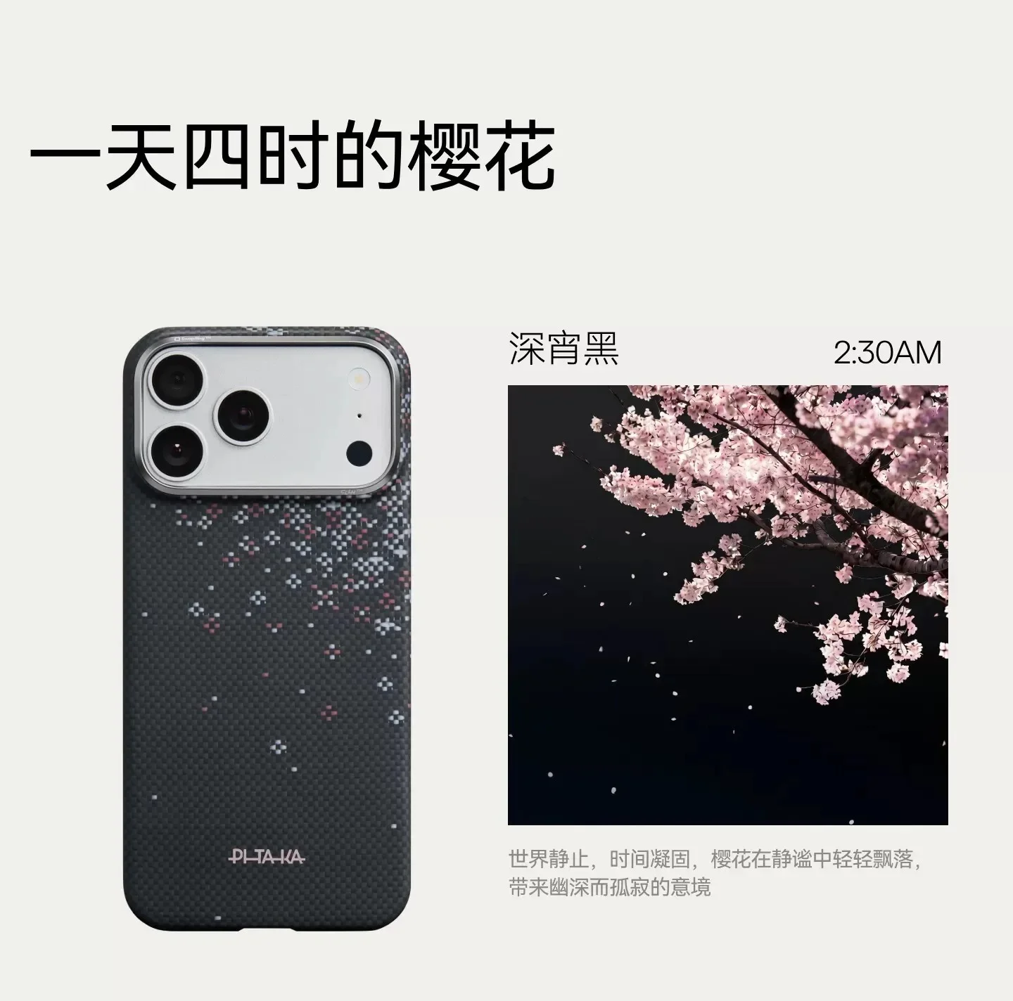 PITAKA Carbon Fiber Cover for iPhons Automne