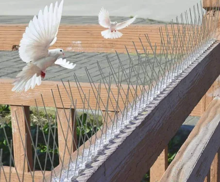 Pics anti pigeons دبابيز مضادة للحمام