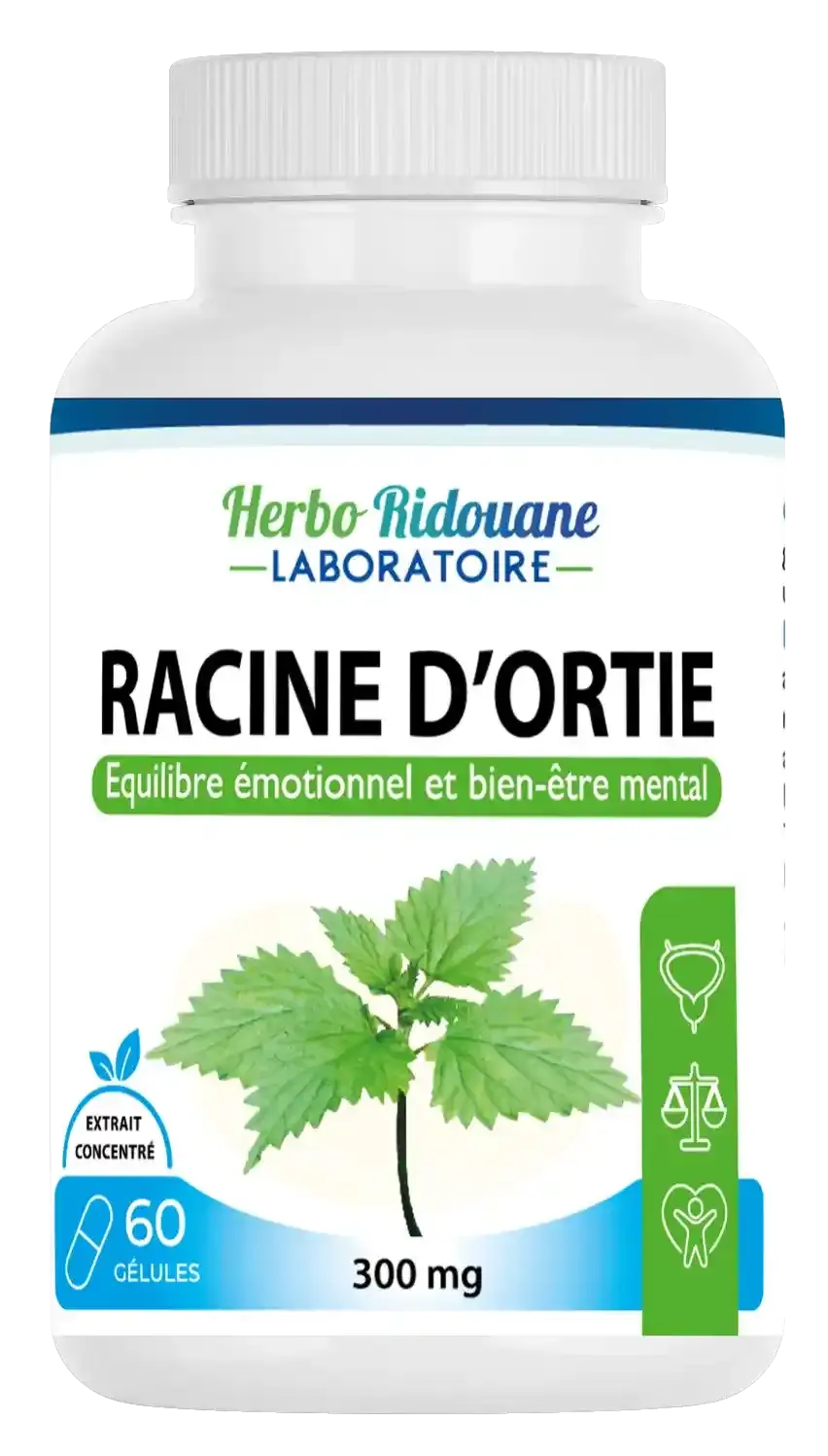 كبسولات جذر القراص المركز (Racine d'Ortie)