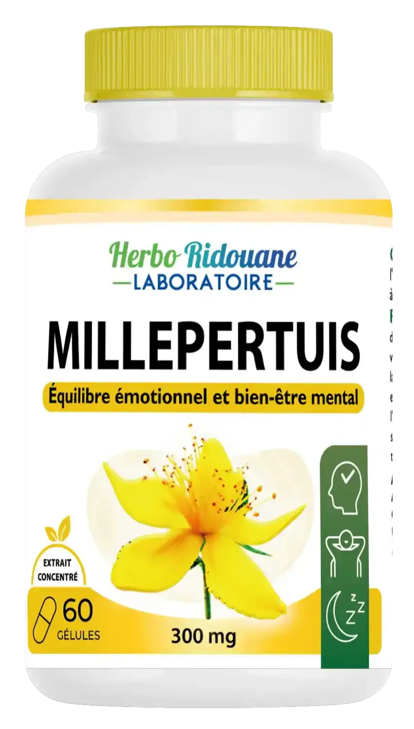 عشبة القديسين Millepertuis