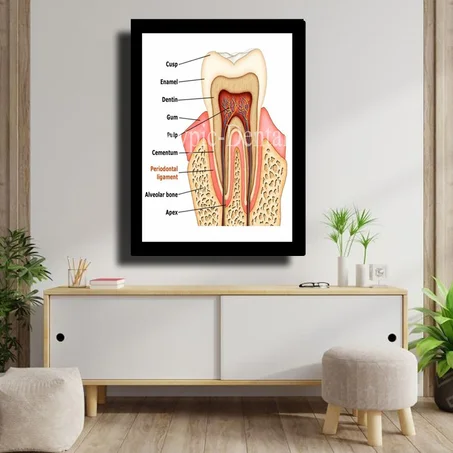 TABLEAU DÉCORATIF MODERNE POUR UN CABINET DENTAIRE