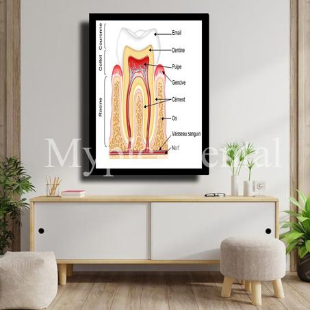 TABLEAU DÉCORATIF MODERNE POUR UN CABINET DENTAIRE