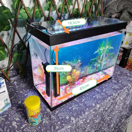 حوض الأسماك المثالي لجعل منزلك أكثر حيوية