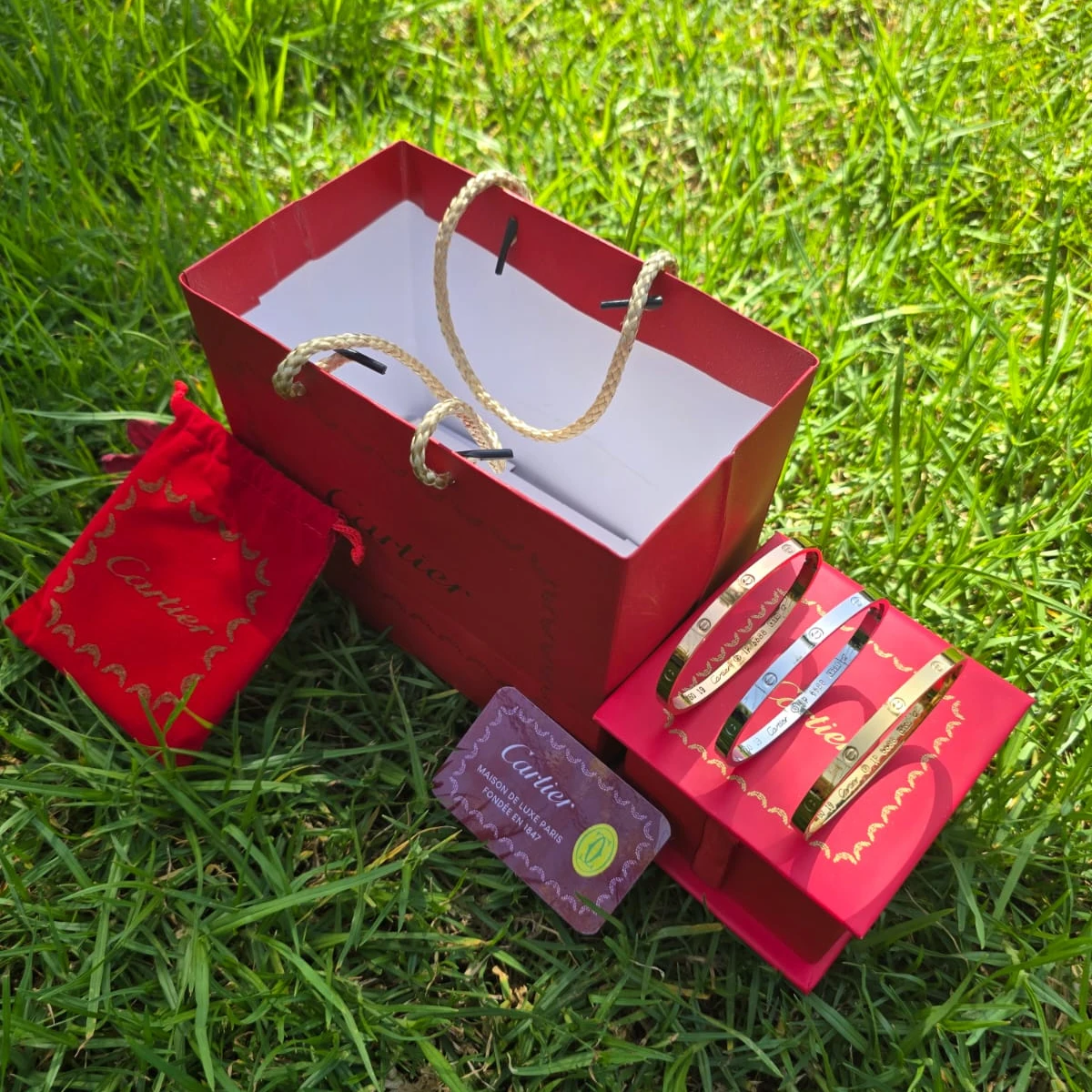 Set Bijoux de Luxe – Model N CA