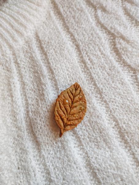 Autumn leaf brooch 3