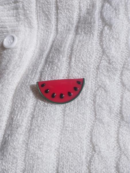 Watermelon brooch
