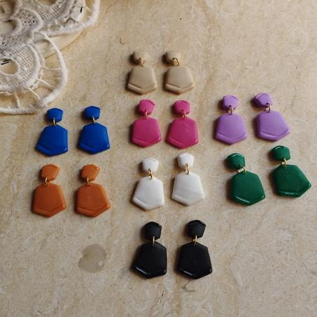 Classy pair earrings