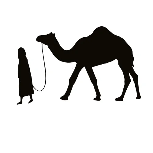 almarrsa.com