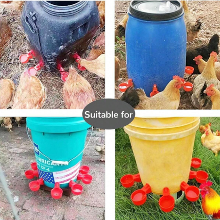 شرابات الدجاج و الطيور بكل انواعها