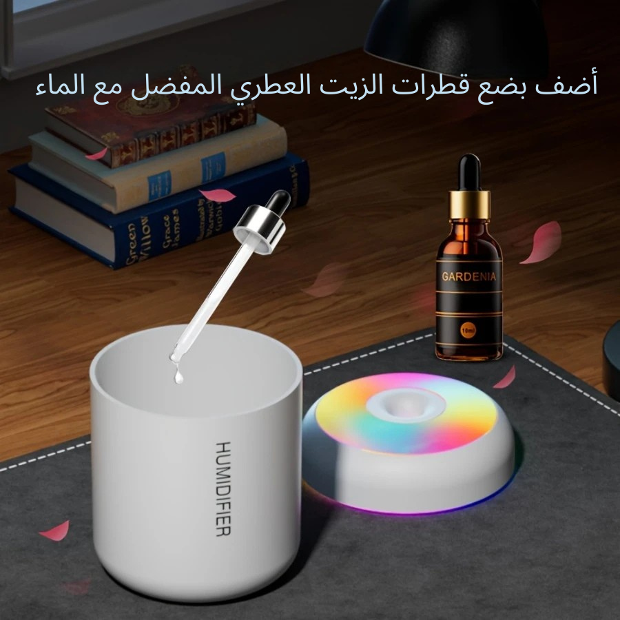 Mini humidificateur d