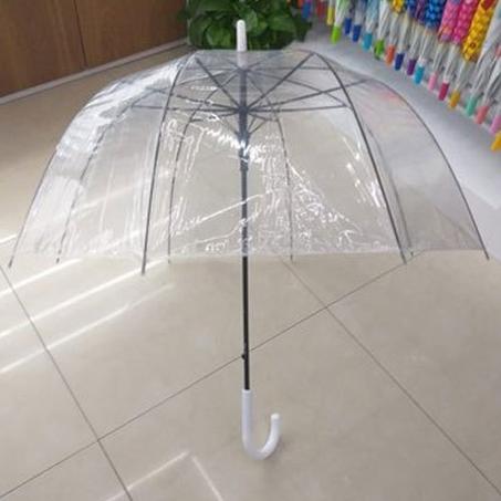 المظلة الشفافة