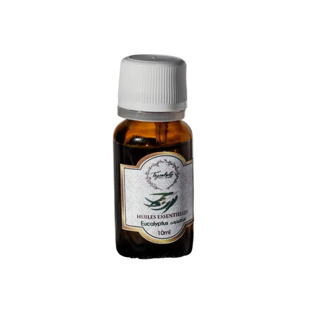 eucalyptus