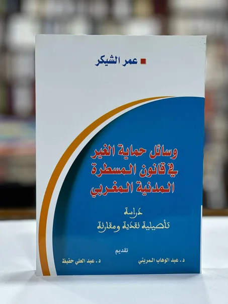 وسائل حماية الغير في قانون المسطرة المدنية المغربي