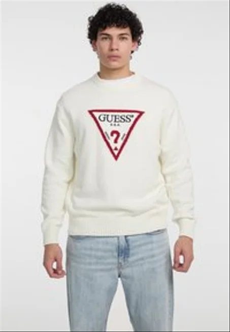 BIG TRIANGLE - Pullover