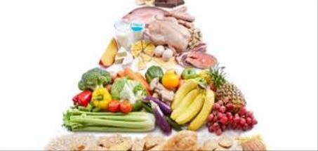 النظام الغذائي والتغذية