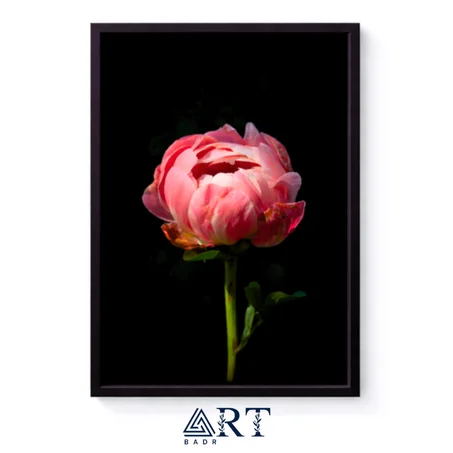 أسبوع التميّز — خصم 30٪ + توصيل مجاني