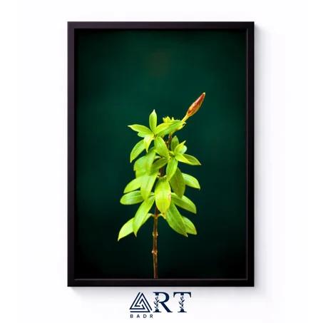 أسبوع التميّز — خصم 30٪ + توصيل مجاني