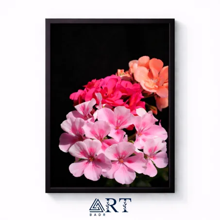 أسبوع التميّز — خصم 30٪ + توصيل مجاني