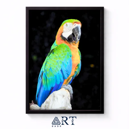 أسبوع التميّز — خصم 30٪ + توصيل مجاني