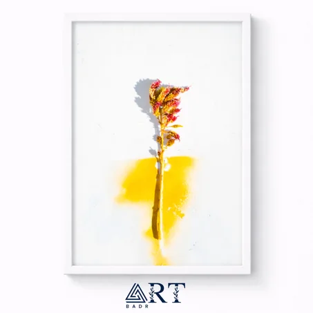 أسبوع التميّز — خصم 30٪ + توصيل مجاني