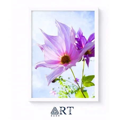 أسبوع التميّز — خصم 30٪ + توصيل مجاني