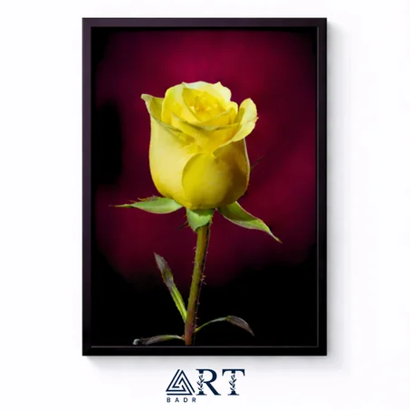 أسبوع التميّز — خصم 30٪ + توصيل مجاني