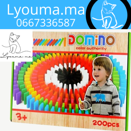 DOMINO 200 pièces, COULEURS EN BOIS, 90 DH