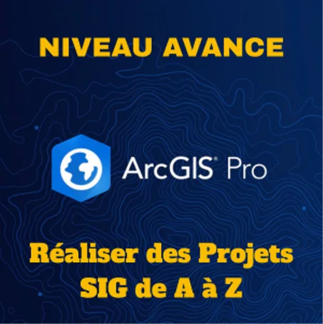 Niveau Avancé (ArcGIS Pro)