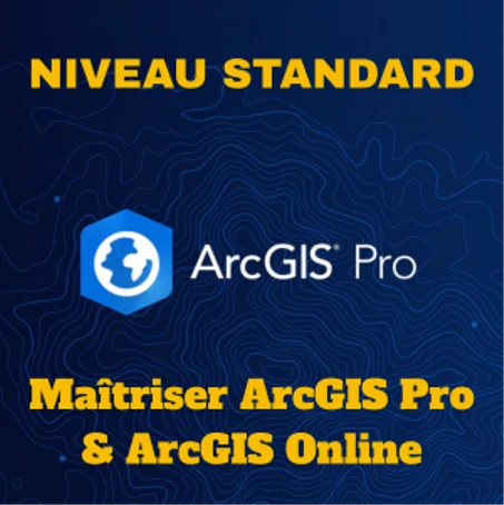 Niveau Standard (ArcGIs Pro)