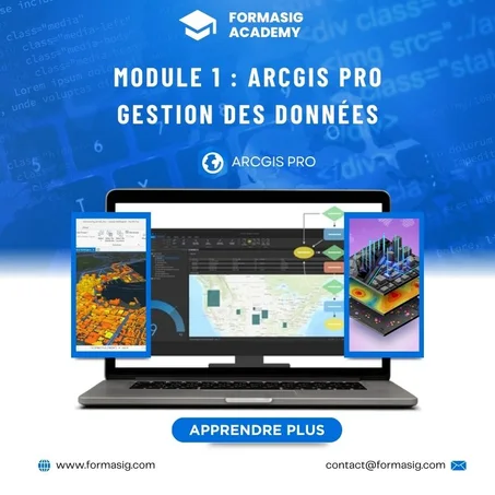 ArcGIS Pro / Module 1 : Gestion des données