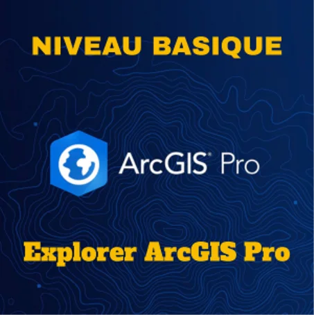 Niveau Basic (ArcGIs Pro)