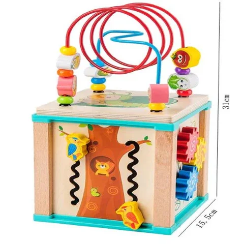 5 in 1 ActivityCube