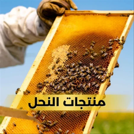منتجات النحل