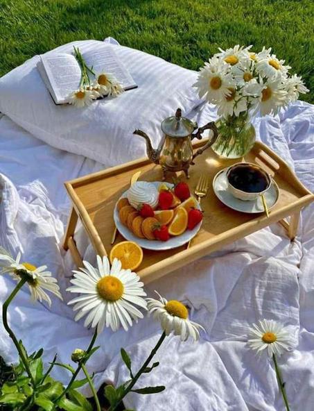 طاولة للنزهات والخرجات العائلية/  قابلة للطي وخفيفة الوزن