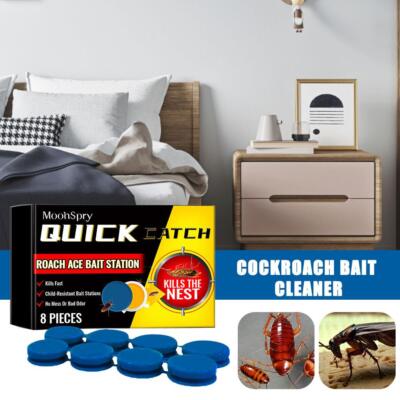 🚫 Fini les cafards à la maison – Solution rapide & efficace !
