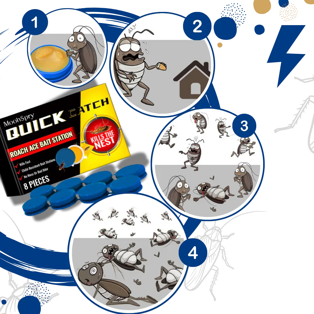 🚫 Fini les cafards à la maison – Solution rapide & efficace !