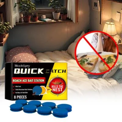 🚫 Fini les cafards à la maison – Solution rapide & efficace !