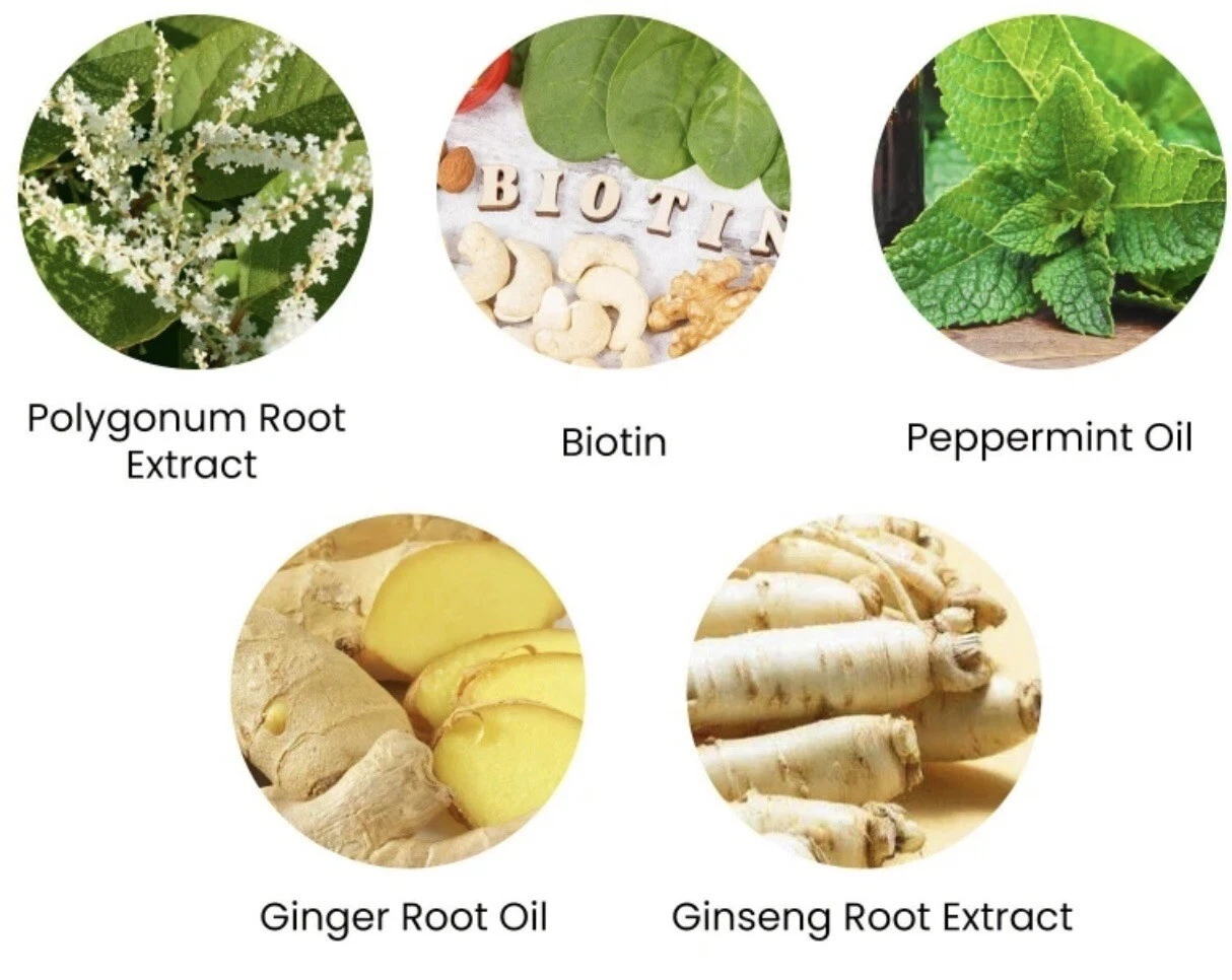 الزنجبيل الأخضر لنمو وعلاج الشعر - قنينة واحدة