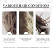 stores/c20bf21df440569901232b14b8d5c44b/products/NfGncIhQ6iQAcrenEigBYlcEUO63yzdcY45amsLB.png