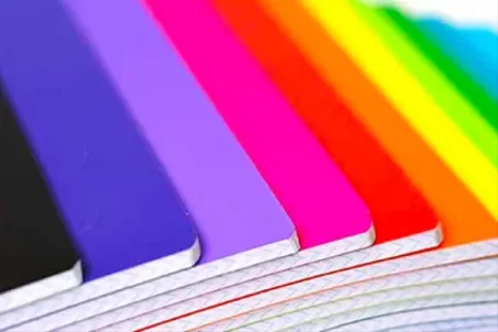 Cahiers et registres